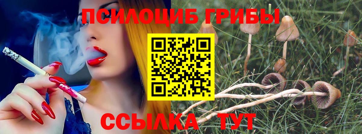 Таганрог  Псилоцибиновые грибы GOLDEN TEACHER  Вход с VPN 